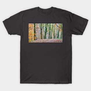 Autumn Woods T-Shirt